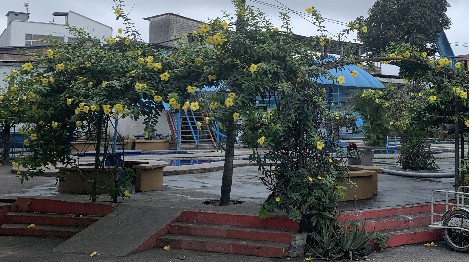 Piscina - Hotel Su Majestad